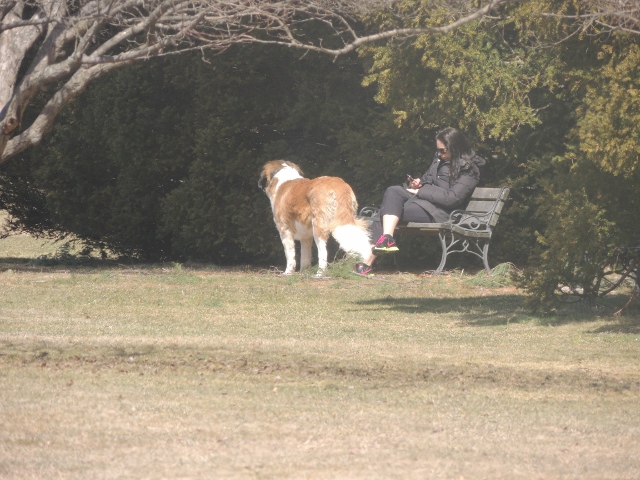 alone with dog, dog and product