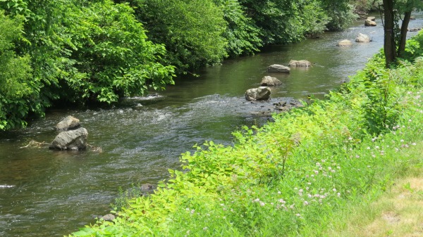 a stream-flowing,images pictures