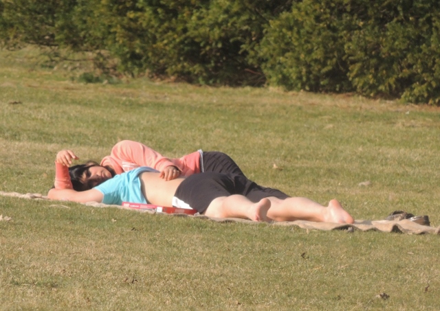 couples laying on grass together,photos photos