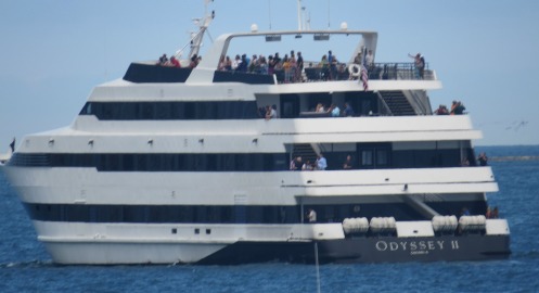 dinner cruise chicago,cruise gift idea