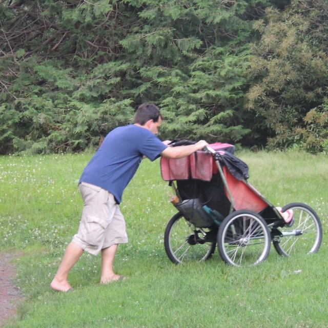 father pushing stroller in park,love is display