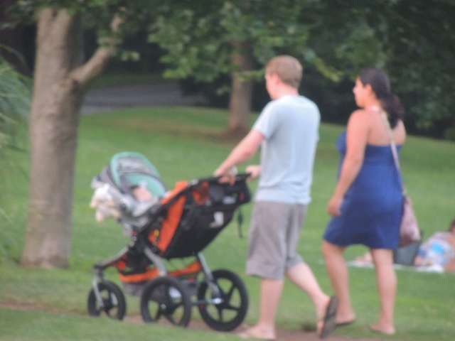 father pushing stroller with mother,love displays