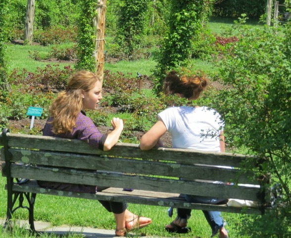 friends sitting in park talking,display pic