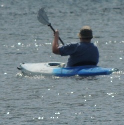 man kayaking in mystic,photos images