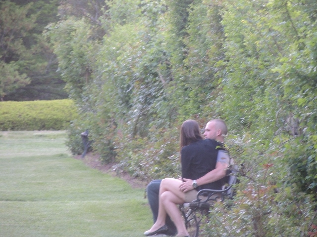 man on bench holding woman,love display
