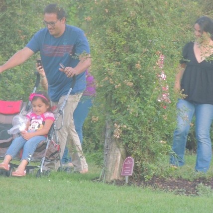 man pushing stroller in park,love images