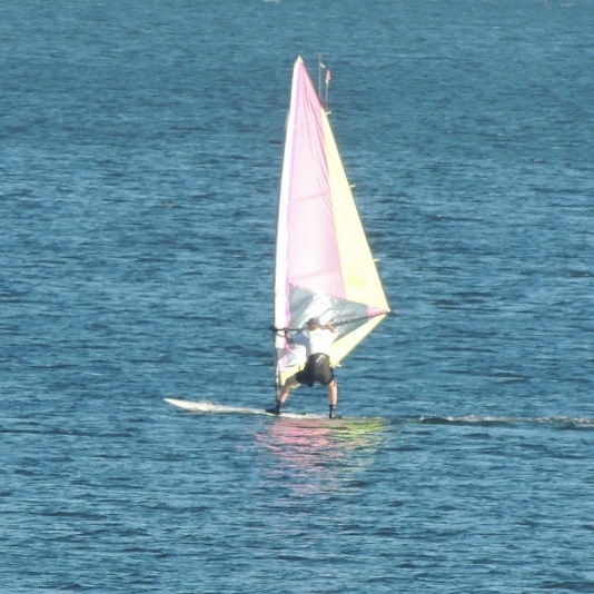 man wind surfing in long island sound,images,pics