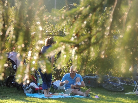 man with baby picnic in park,picturess