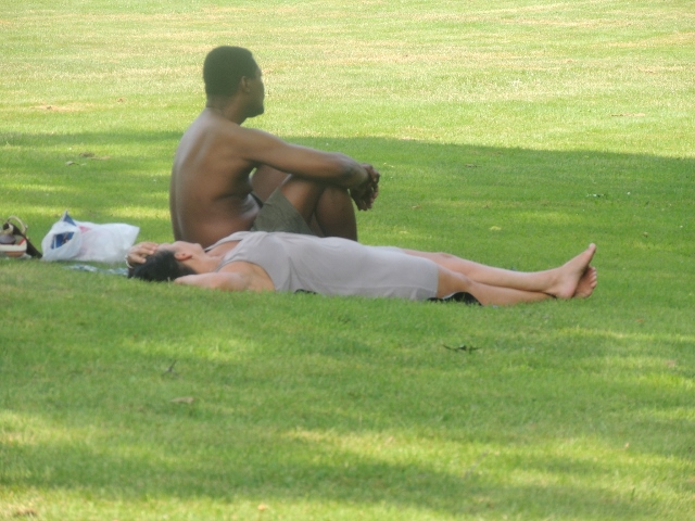 mixed couple lying sitting on grass,images