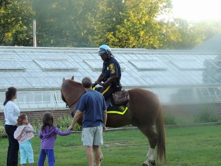 mounted police at concerts elizabeth park,love pics