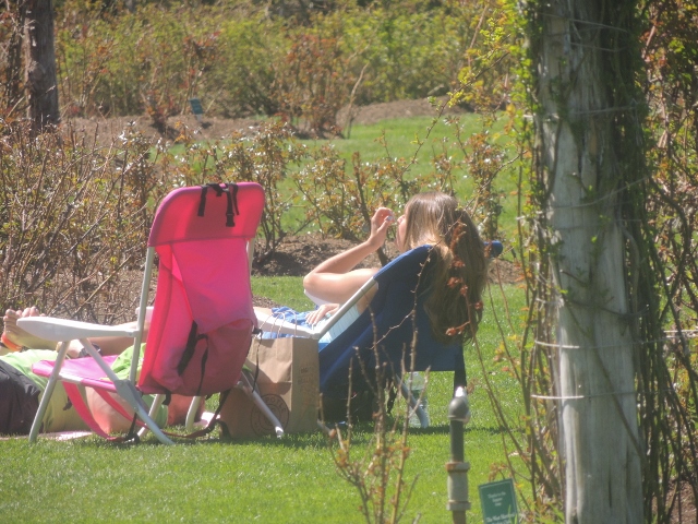 on lawn chair together in park,pictures