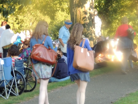 teens at concert in park,display of love