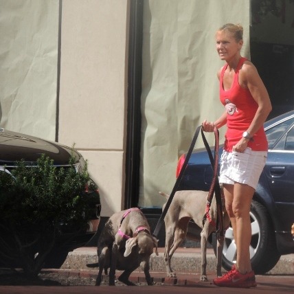 woman cleaning up after her dog,dog ides