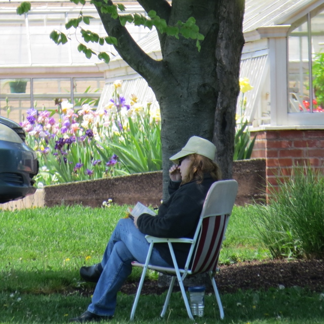 woman in hat sitting under tree,photo images