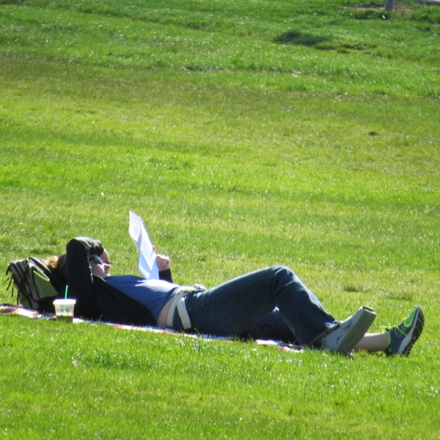 woman laying in grass reading in park,photos