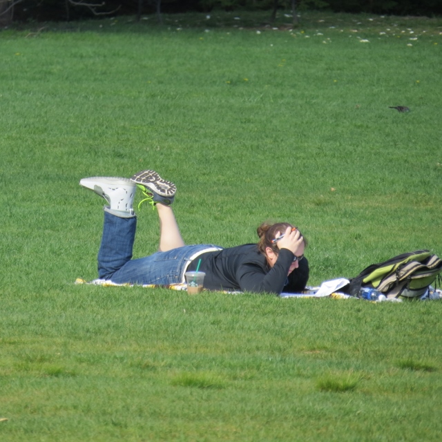 woman lying on green grass reading,images