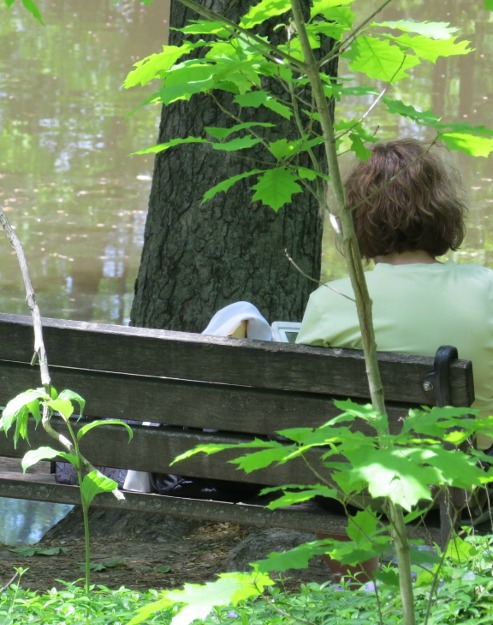 woman sitting by pond,image photo
