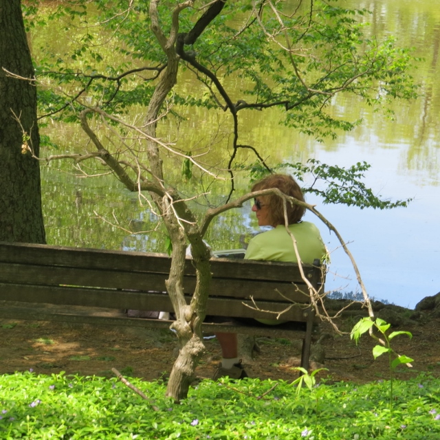 woman sitting under tree,photo