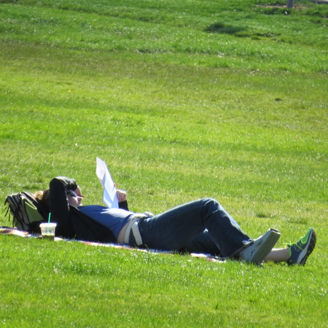 woman laying in grass reading in park,photos woman laying in grass reading in park,photos